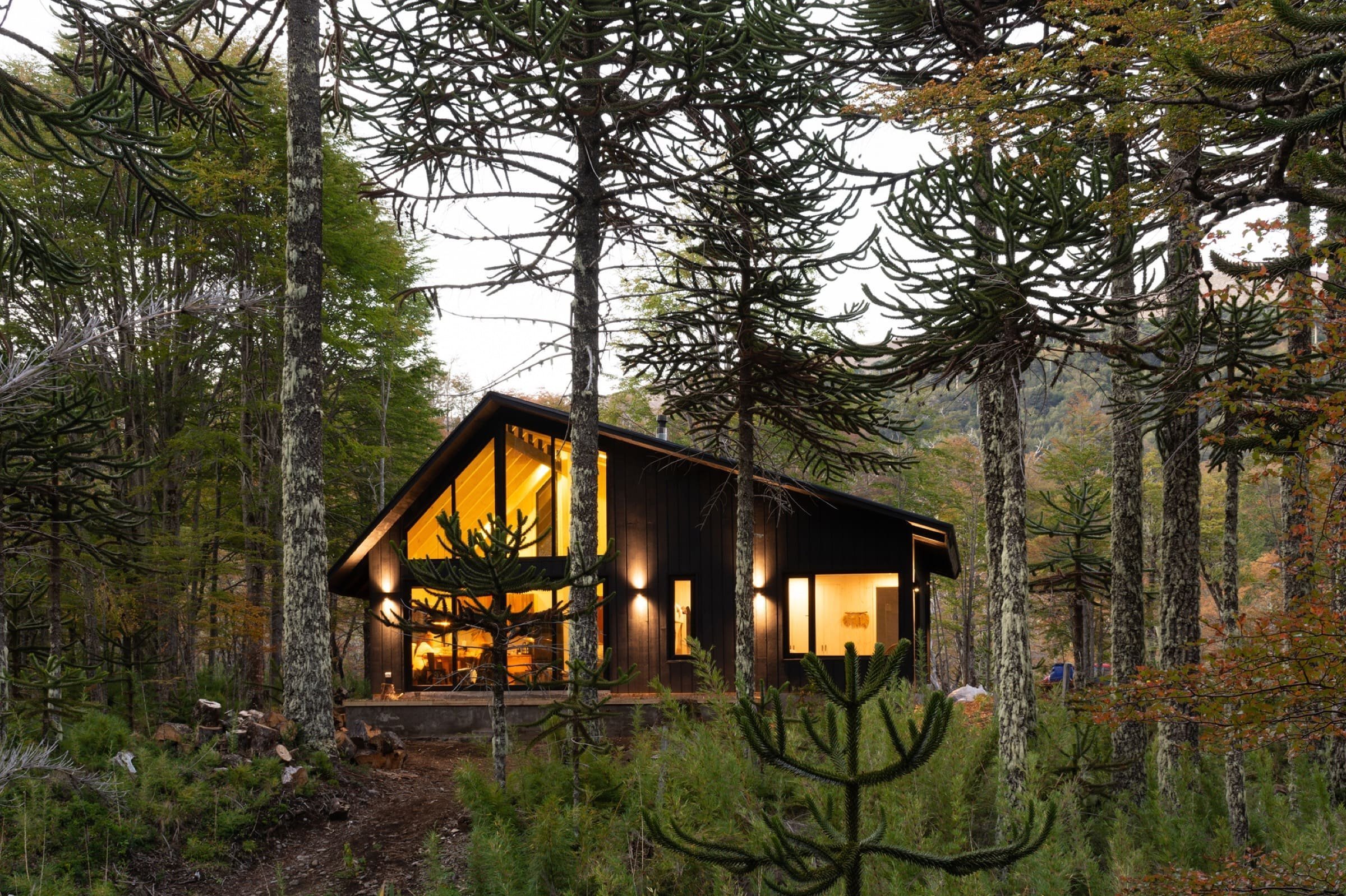Лес живой дом. Дом Шале камень/дерево в Сосновом Бору. Архитектор Olson Kundig. Дом в лесу. Современный домик в лесу.
