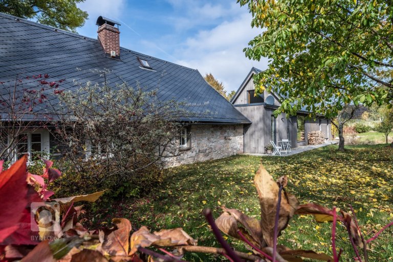 add picture to album