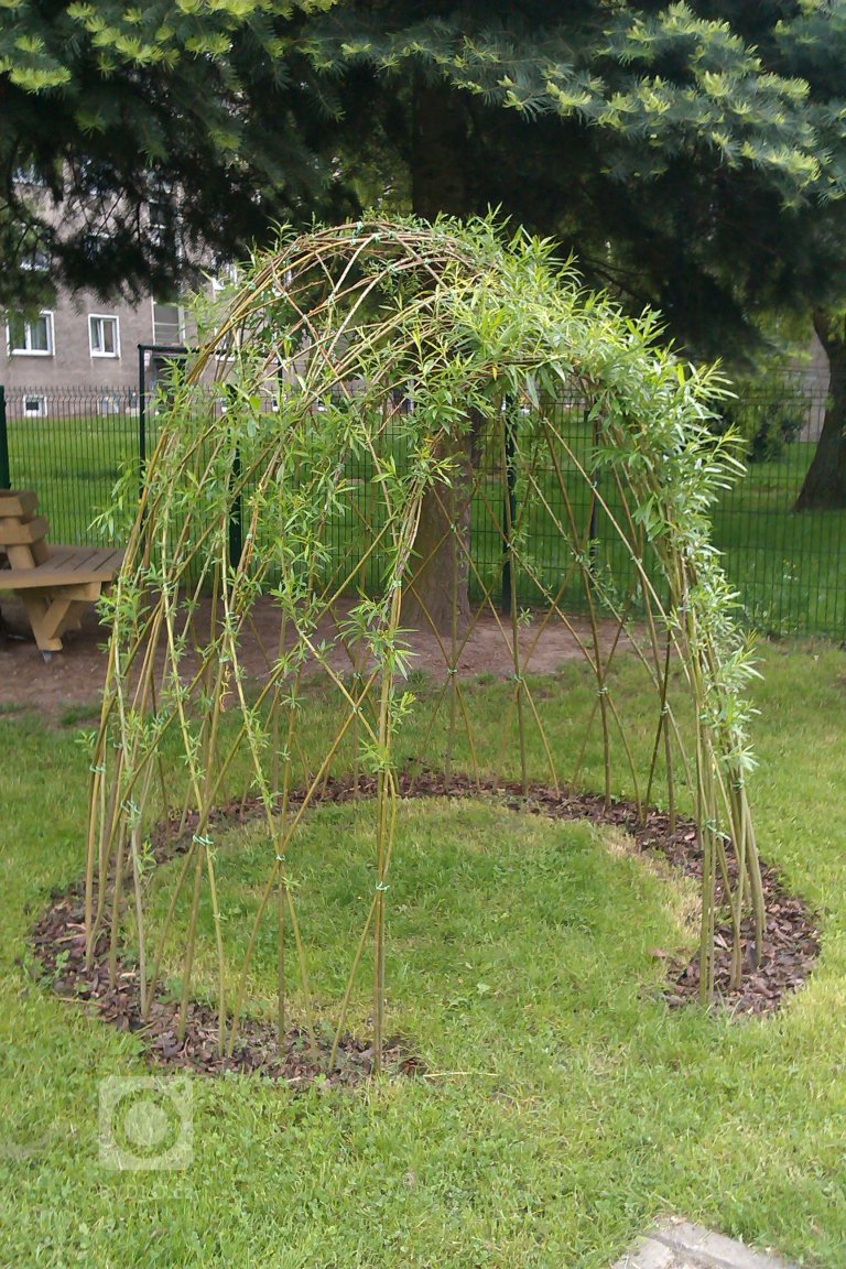 add picture to album