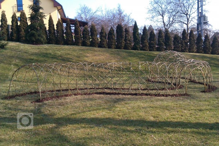 add picture to album