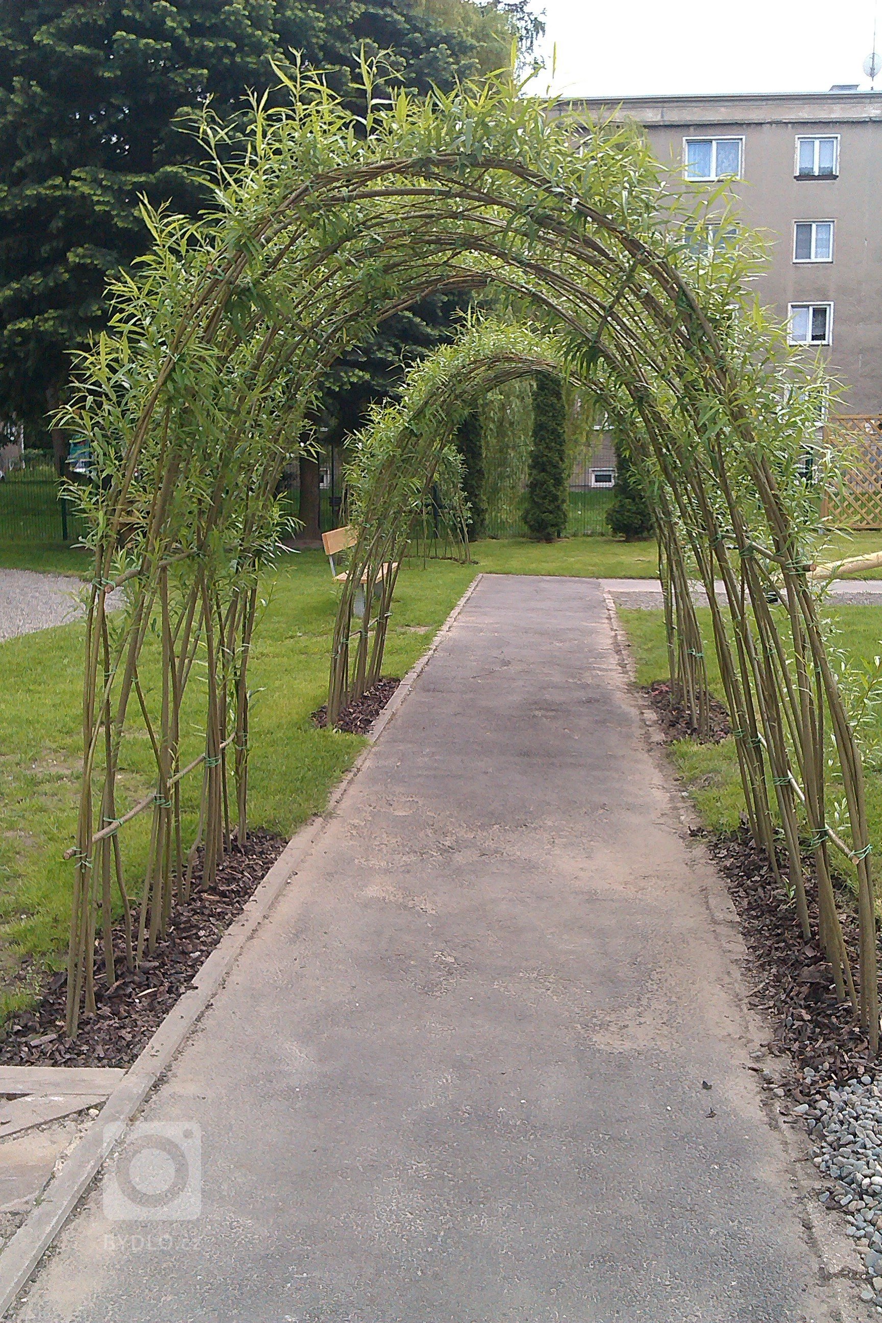 K tomu, aby i na vaší zahradě stála živá&nbsp;vrbová stavba, potřebujete proutí a šikovné ruce. A nebo oslovte naší firmu
