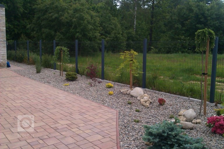 add picture to album