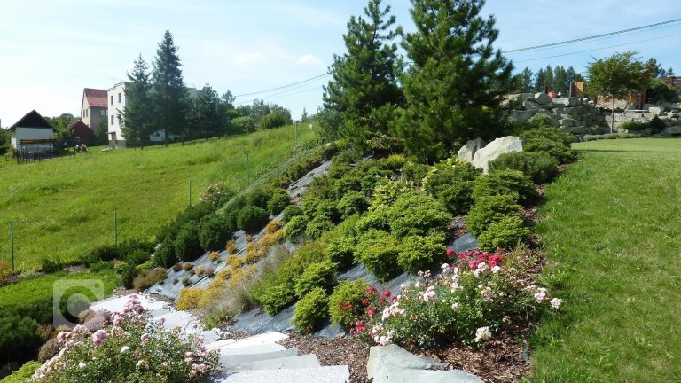 add picture to album