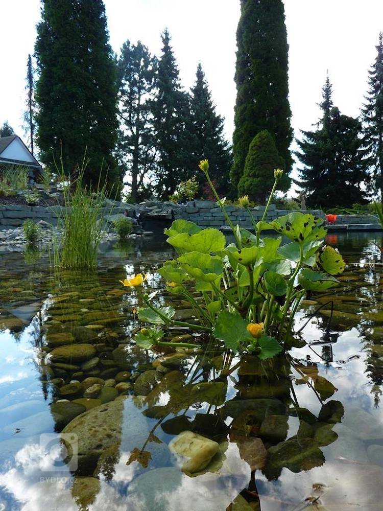 add picture to album