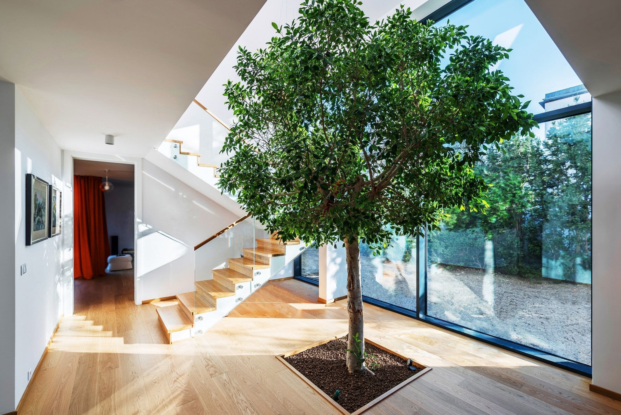 I přes blízkost sousedních domů mají dostatek soukromí