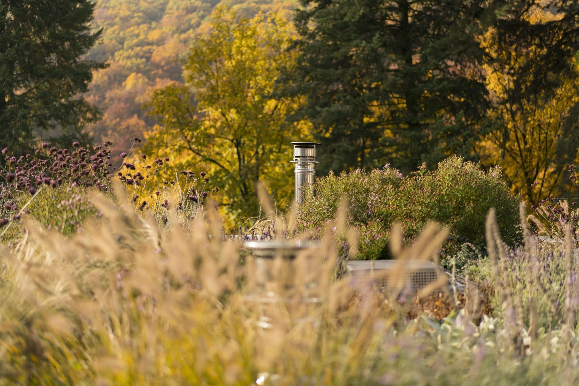 Jednopodlažní dům se zelenou střechou
