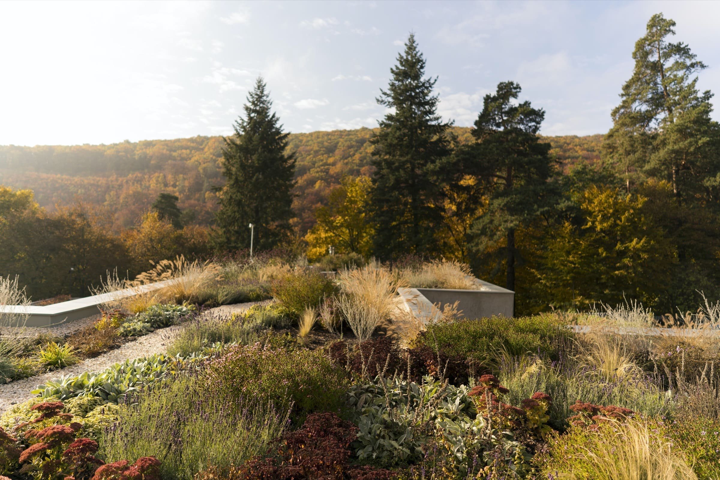 Jednopodlažní dům se zelenou střechou