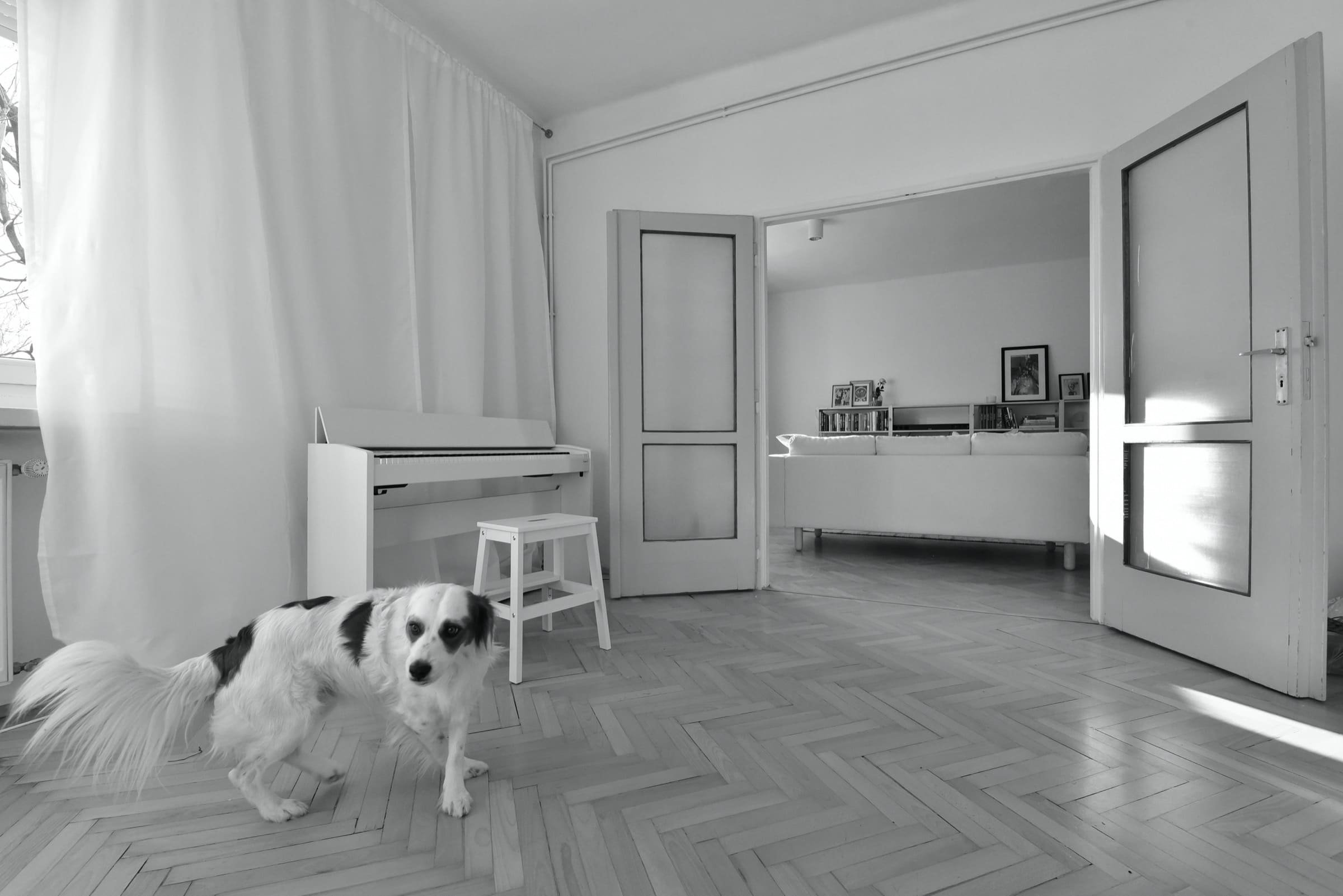 Přízemní byt ve staré bytovce