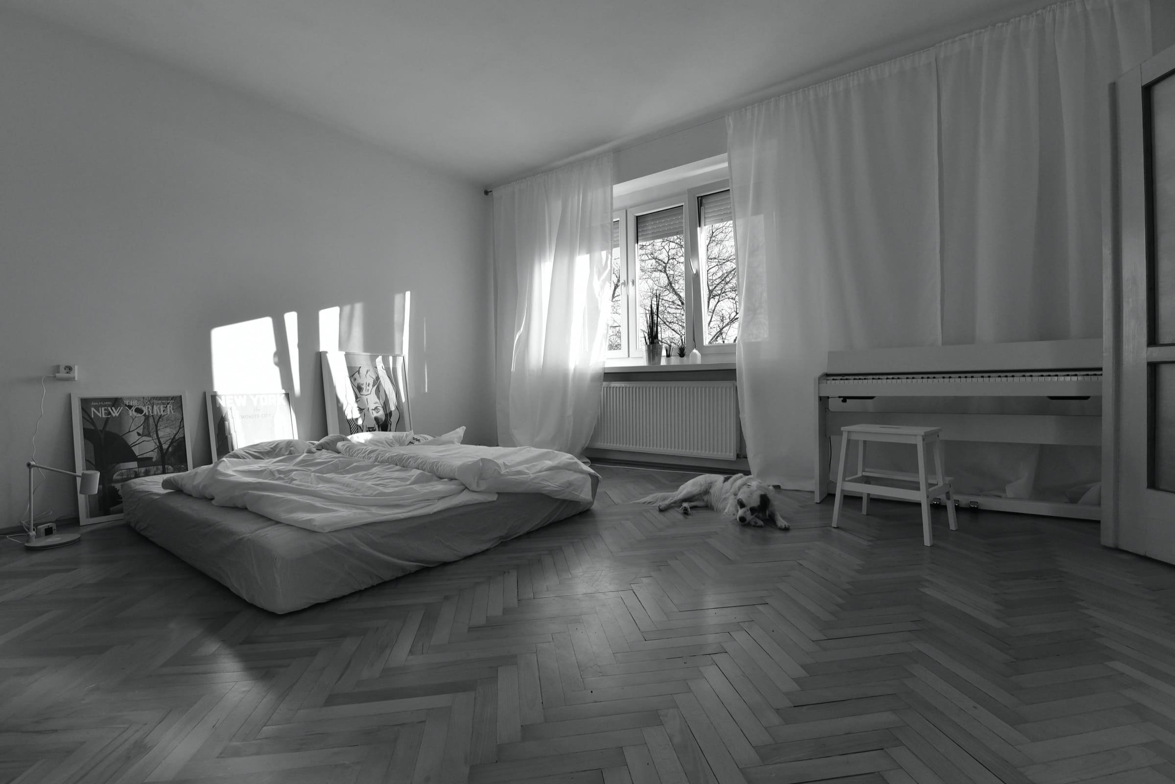 Přízemní byt ve staré bytovce