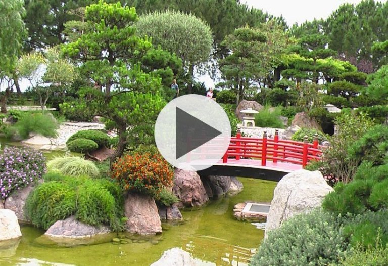 Magická síla japonské zahrady