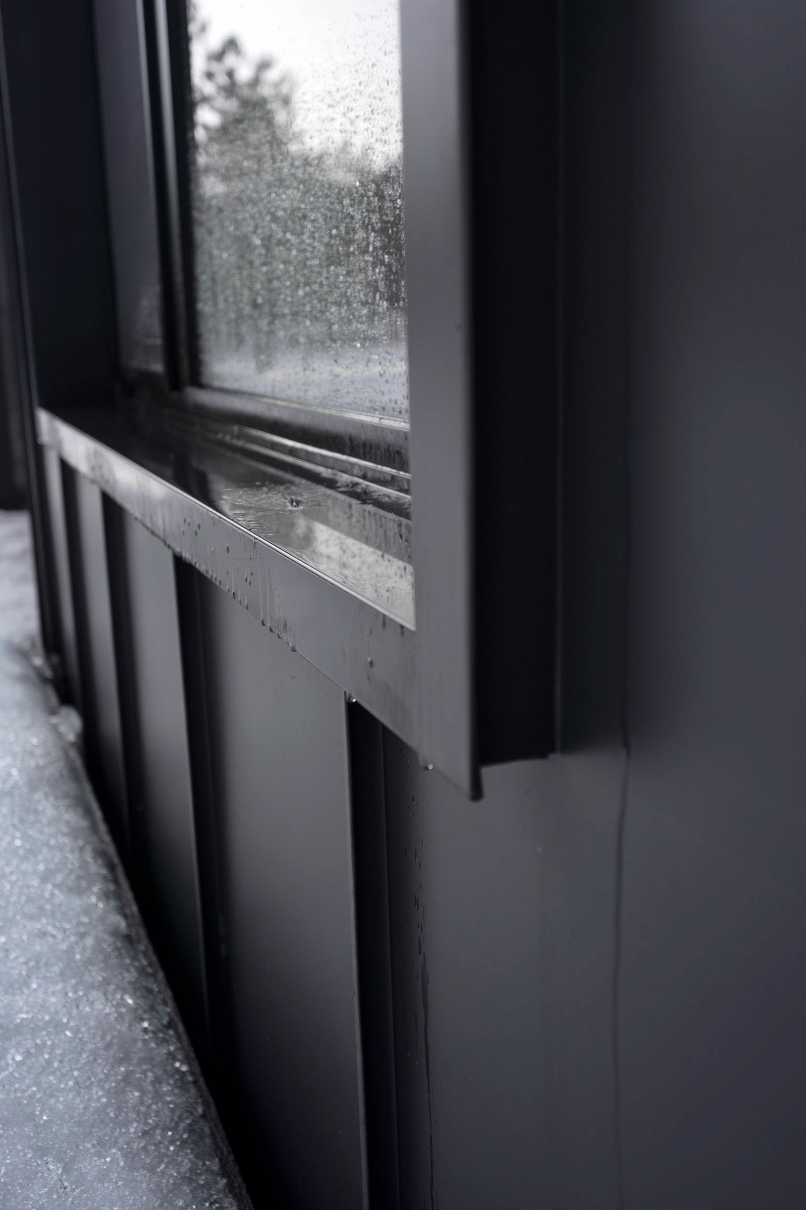 Dům propojený lesem