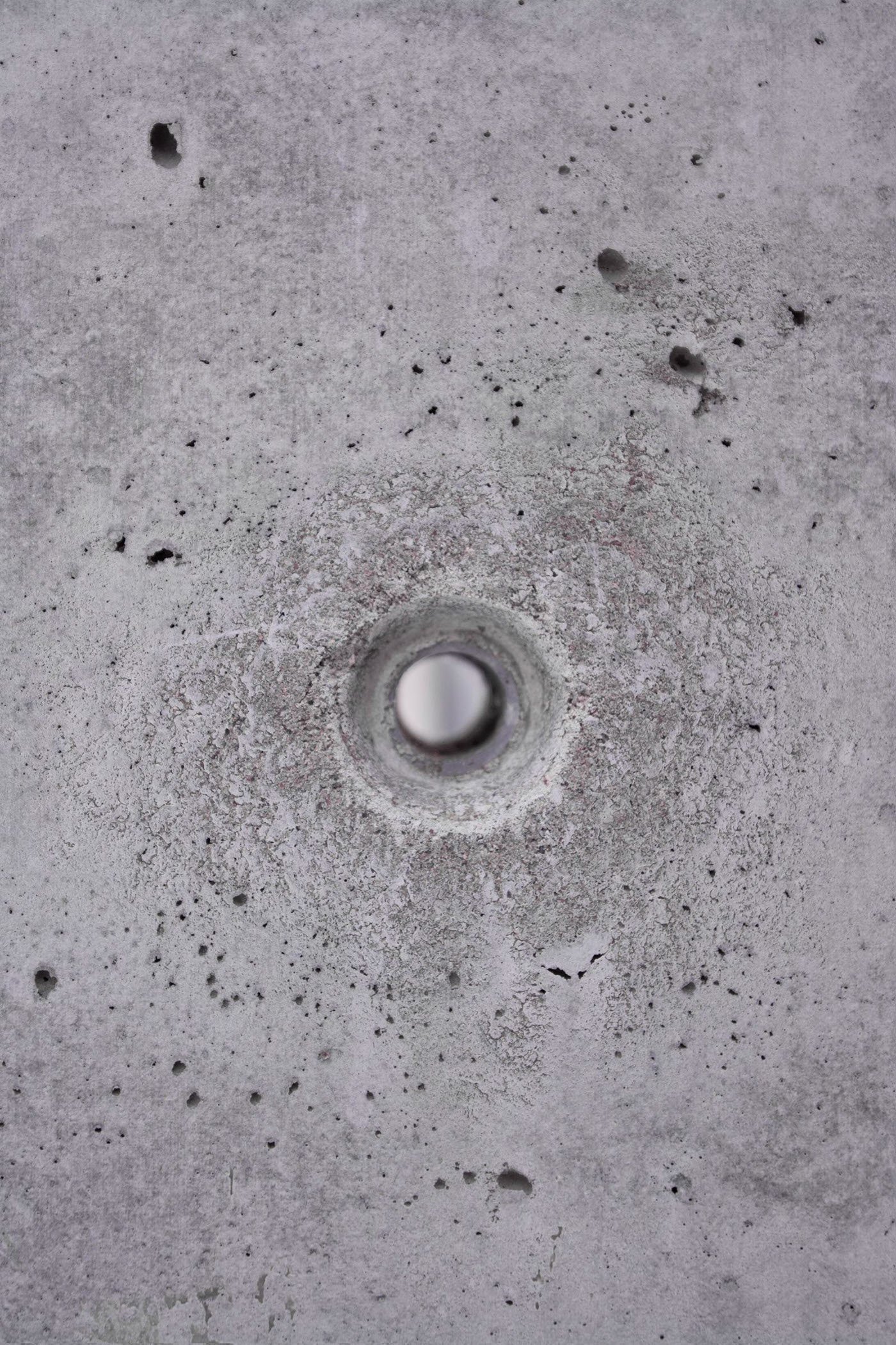 Dům propojený lesem