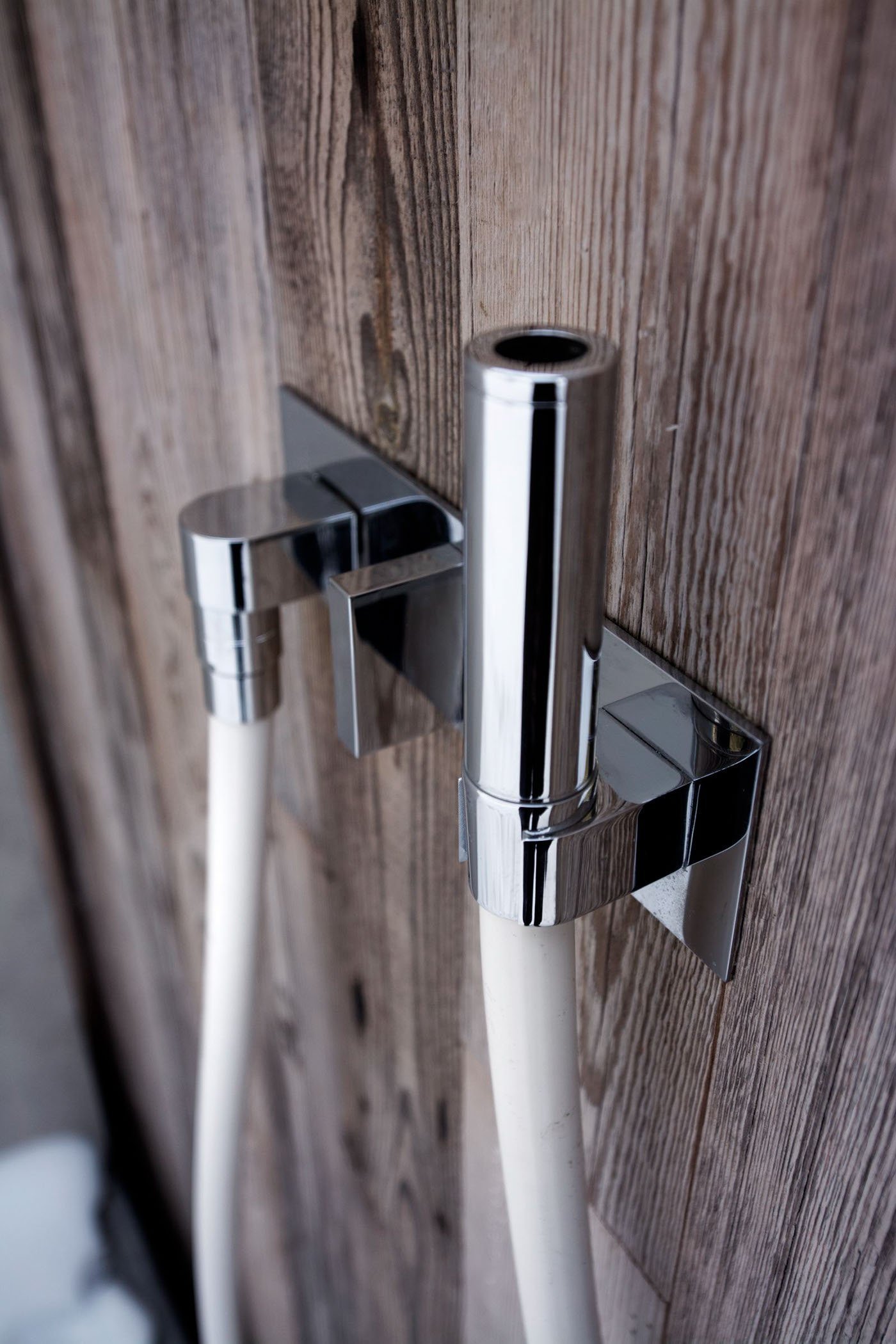 Dům propojený lesem