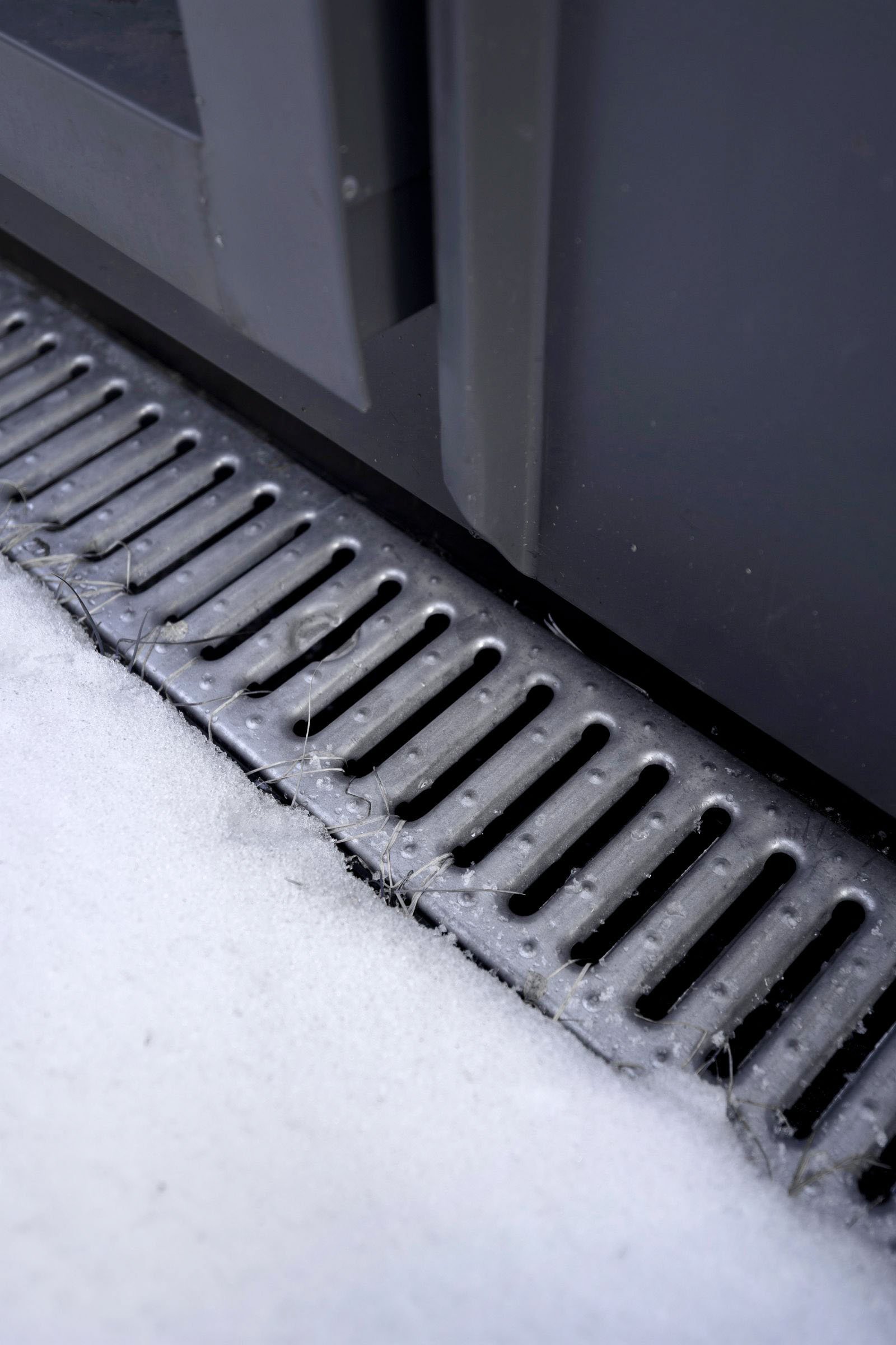 Dům propojený lesem