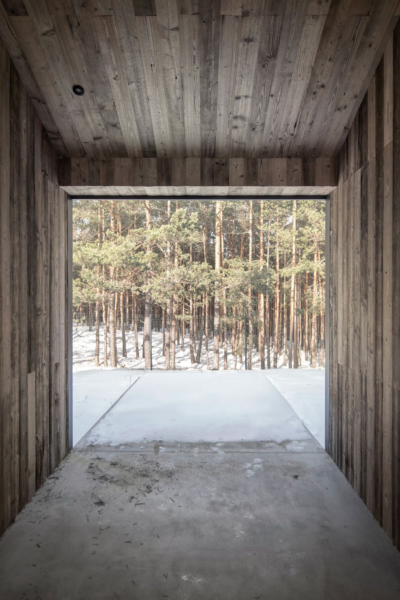 Dům propojený lesem