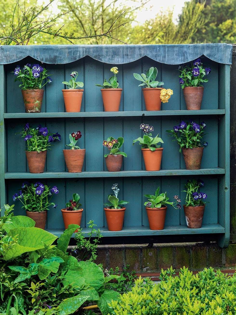 Corrine pěstuje rostlinky ze semínek a své vlastní sazeničky pak z truhlíků přesazuje do upravených záhonů.