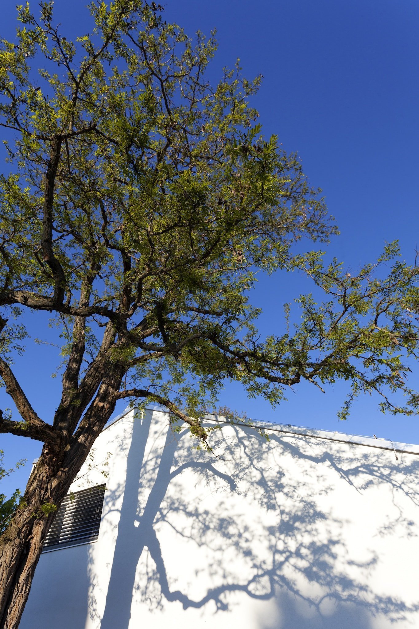 Rodinný dům pod kalvárií ve Velkých Ulanech