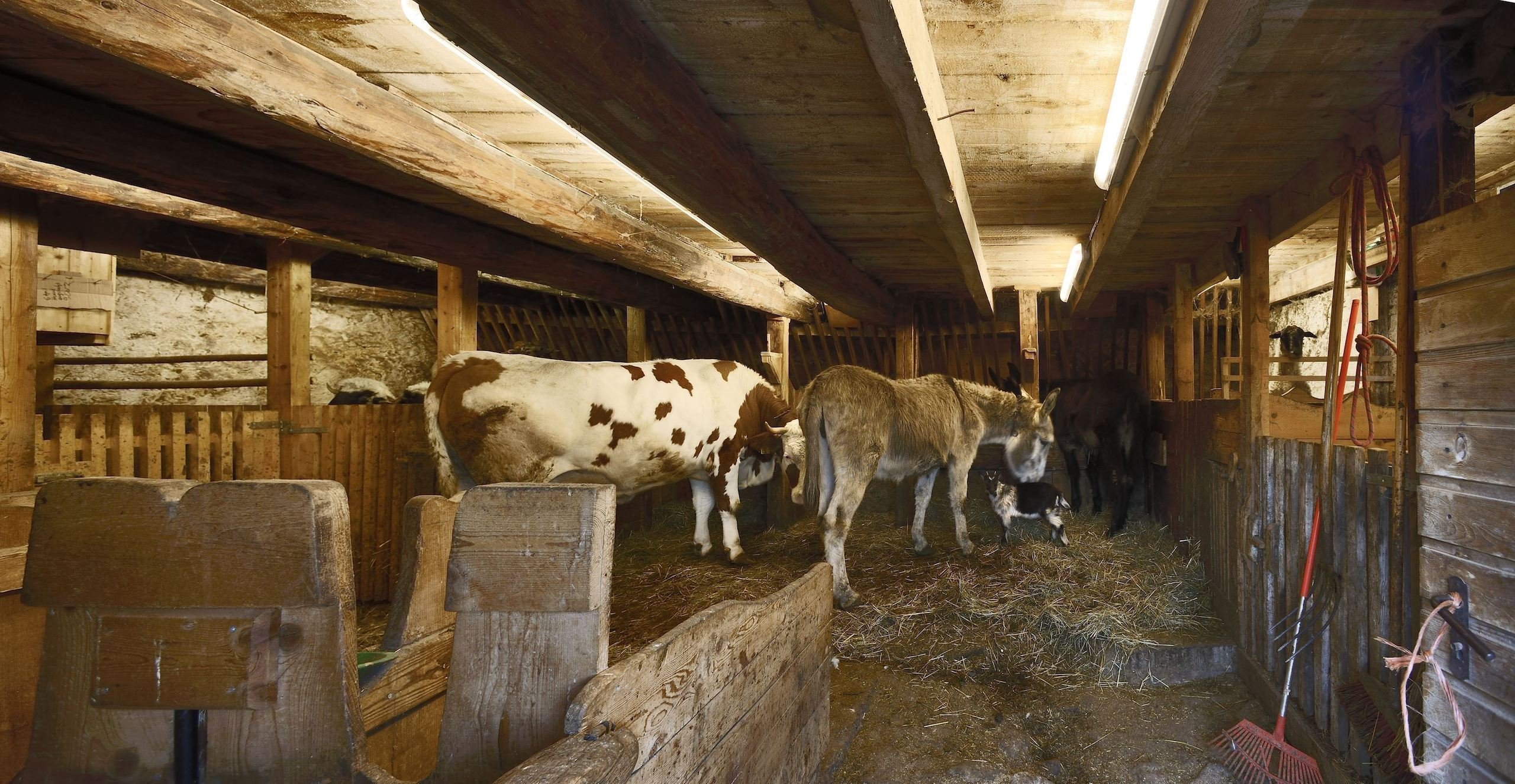 Revitalizace hospodářství a dostavba obytného prostoru