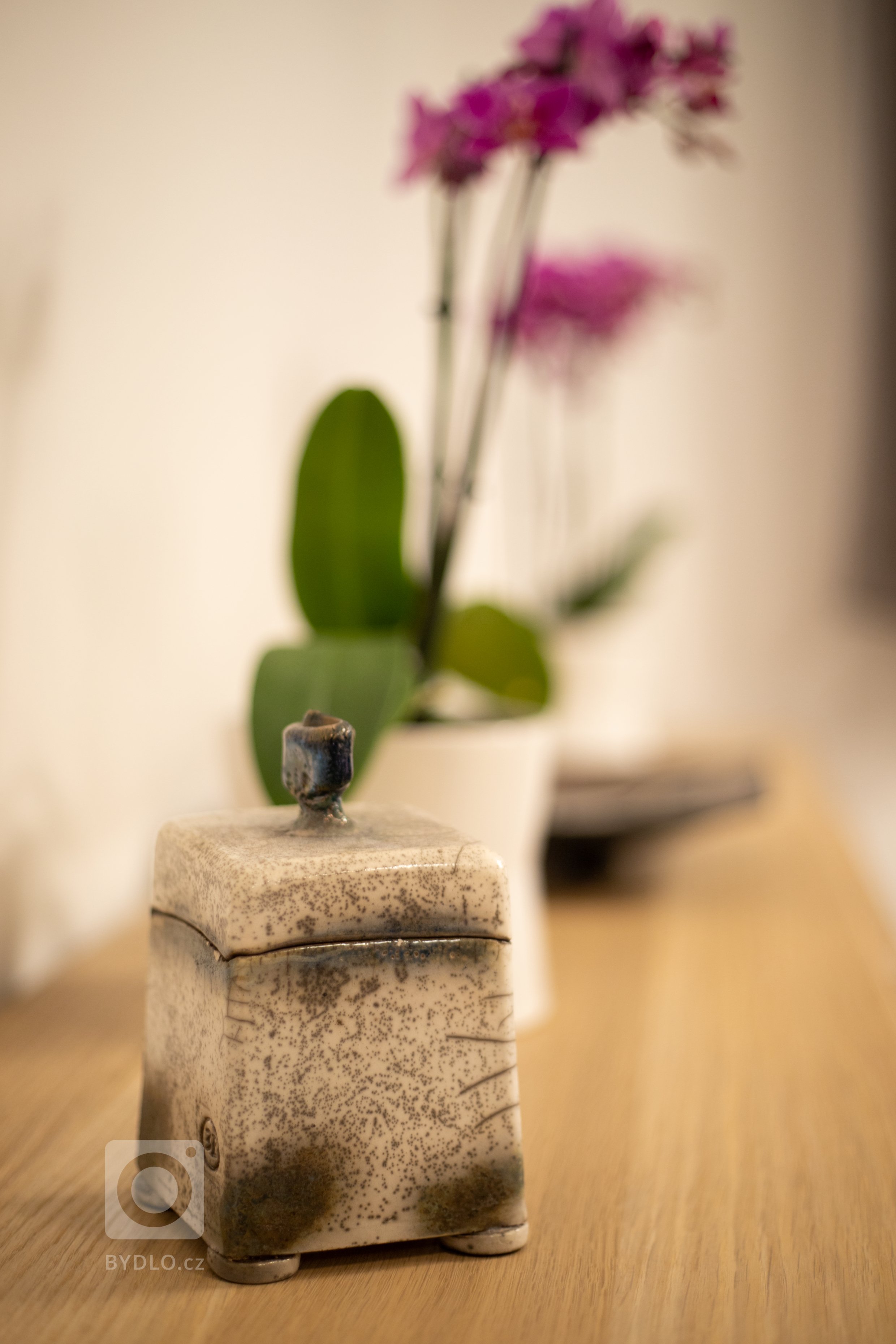 V&nbsp;minimalistický navrženém obývacím pokoji se krásně vyjímá nejen veliká knihovna ale i spousta umělecký děl pocházejících z&nbsp;dílny majitelky bytu.…