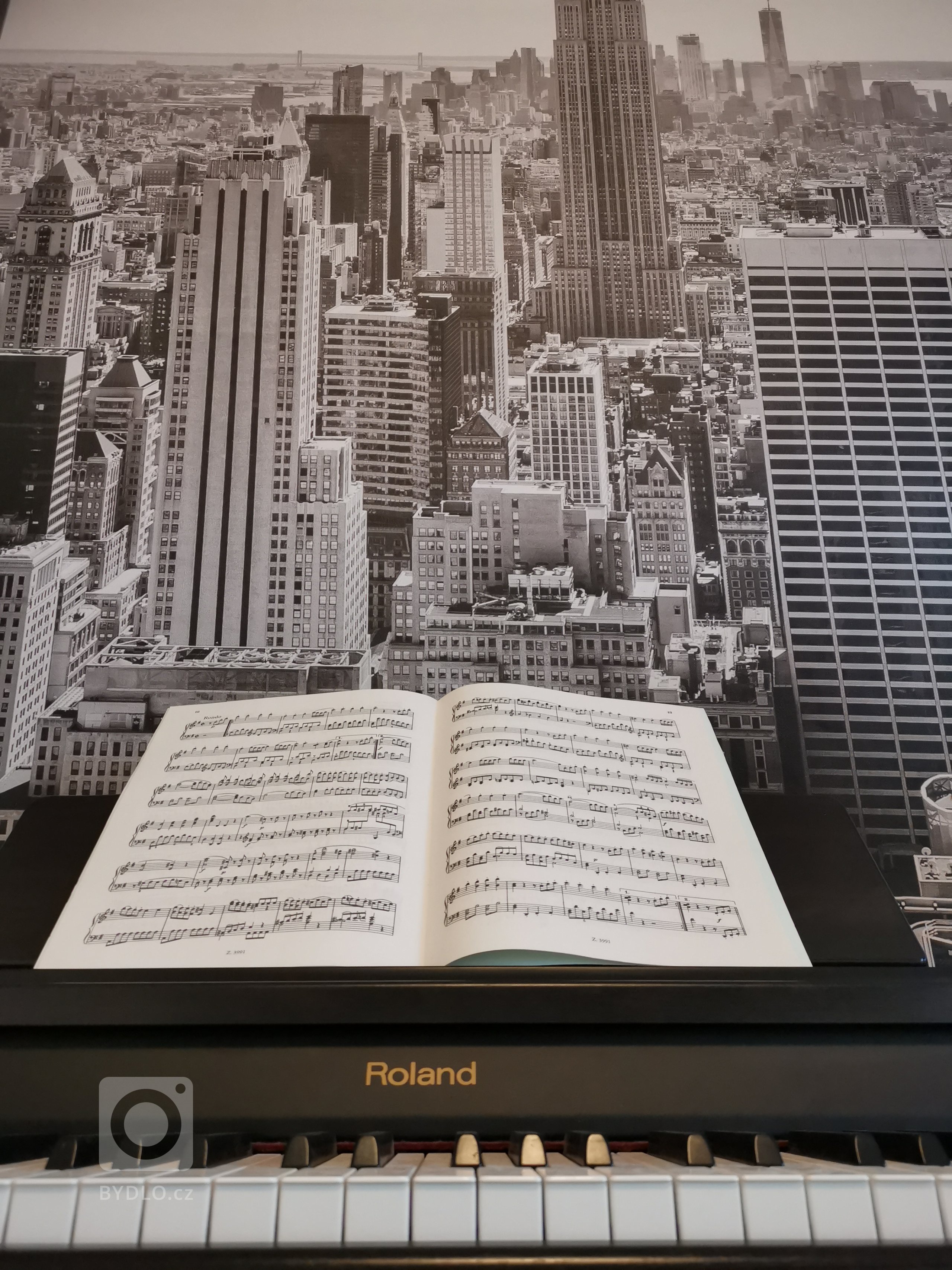 Interiér studentského pokoje pro mladého nadaného hudebníka. Zvolené barvy odráží věk a povahu studenta. I přes to, že vestavěný nábytek poskytuje dostatek…