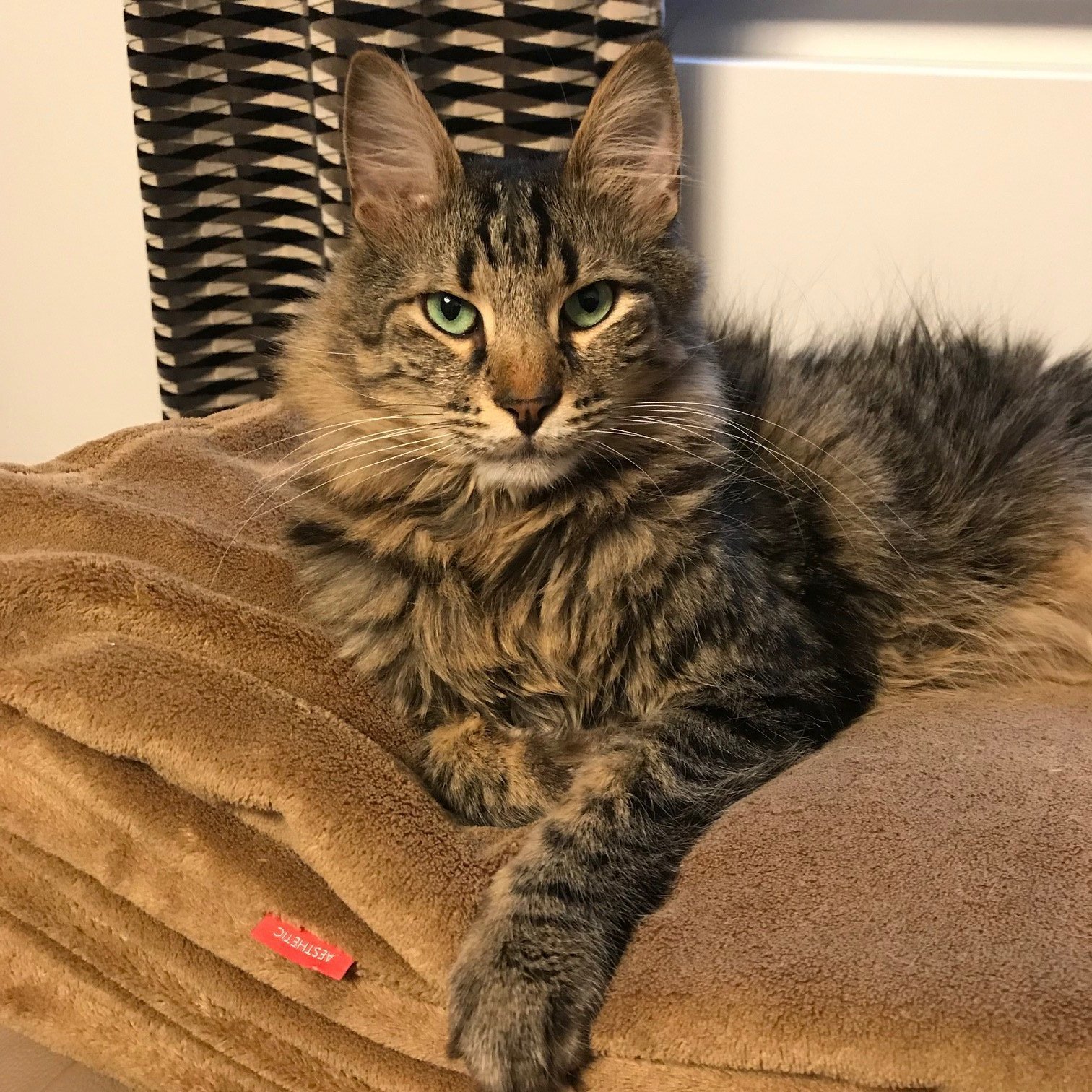 Jak na tepelnou pohodu vašeho domova, staré metody v novém stylu