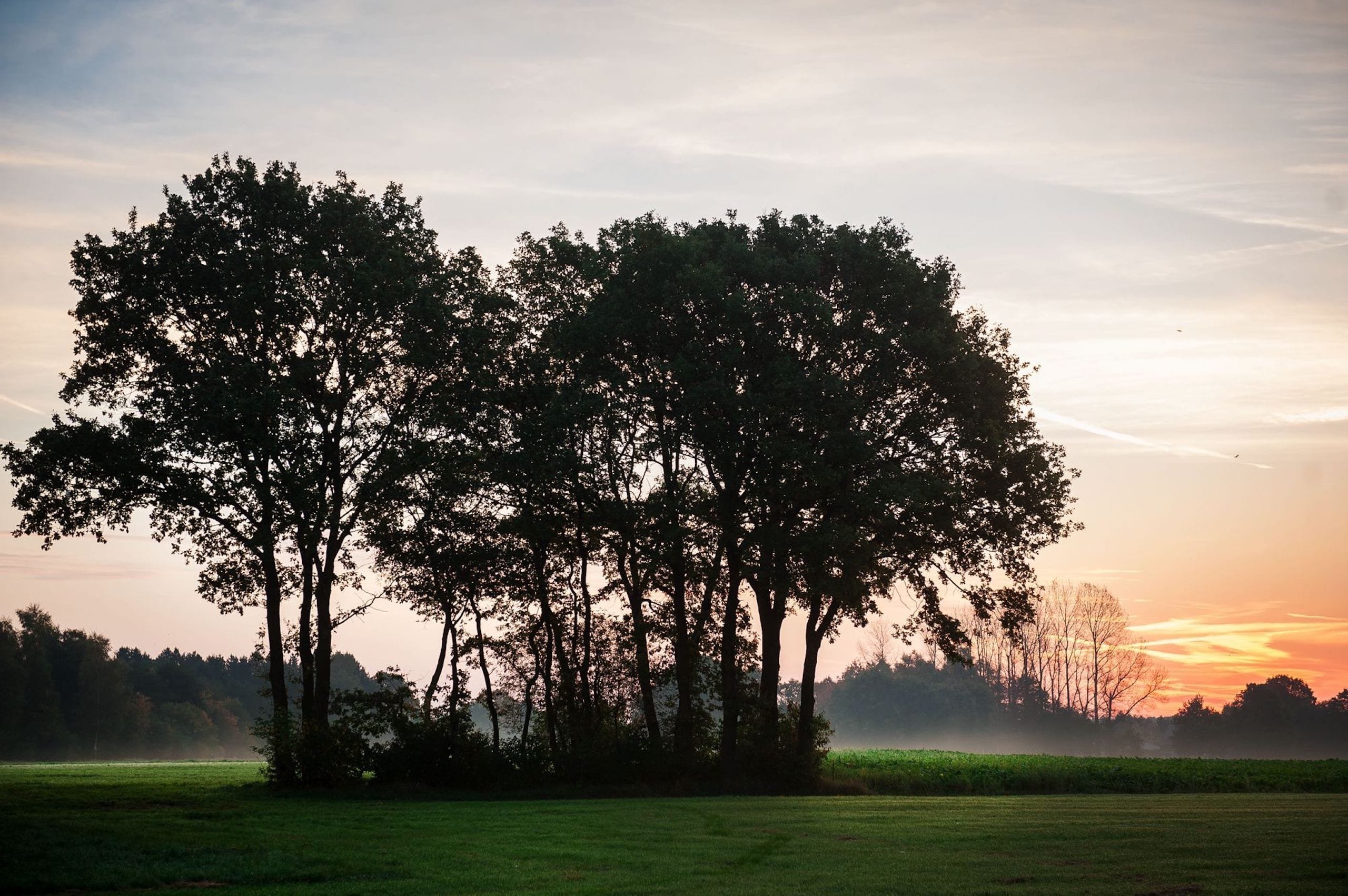 Daleko od civilizace, energeticky soběstačné bydlení