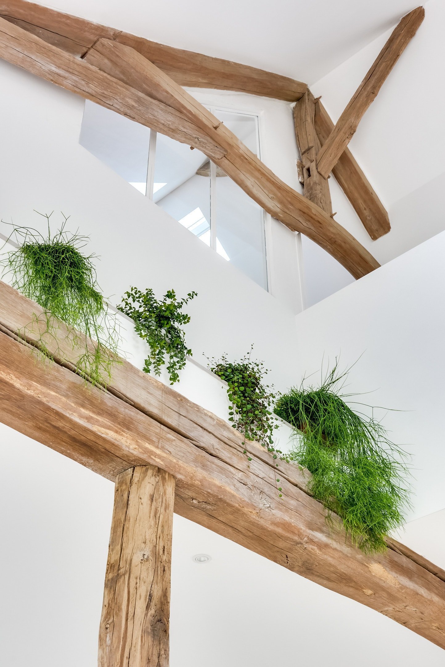 Francouzská venkovská rezidence