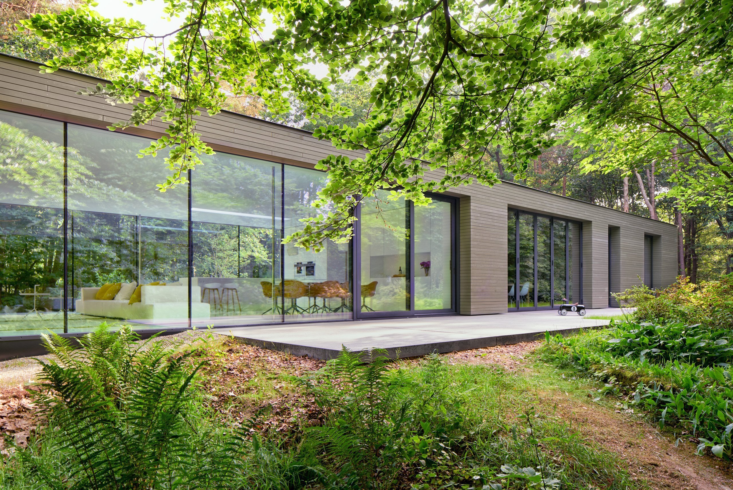 Moderní vila v lese