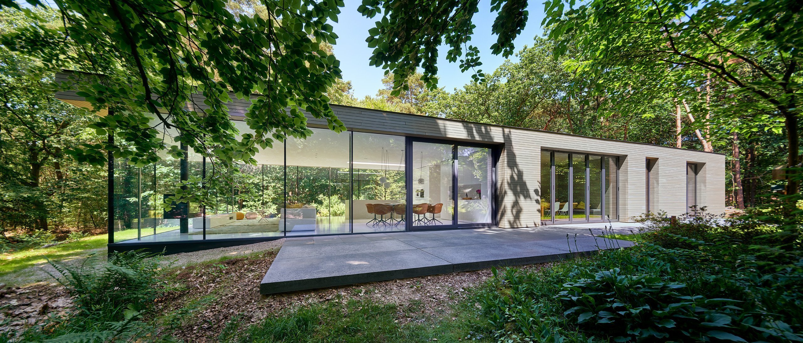 Moderní vila v lese