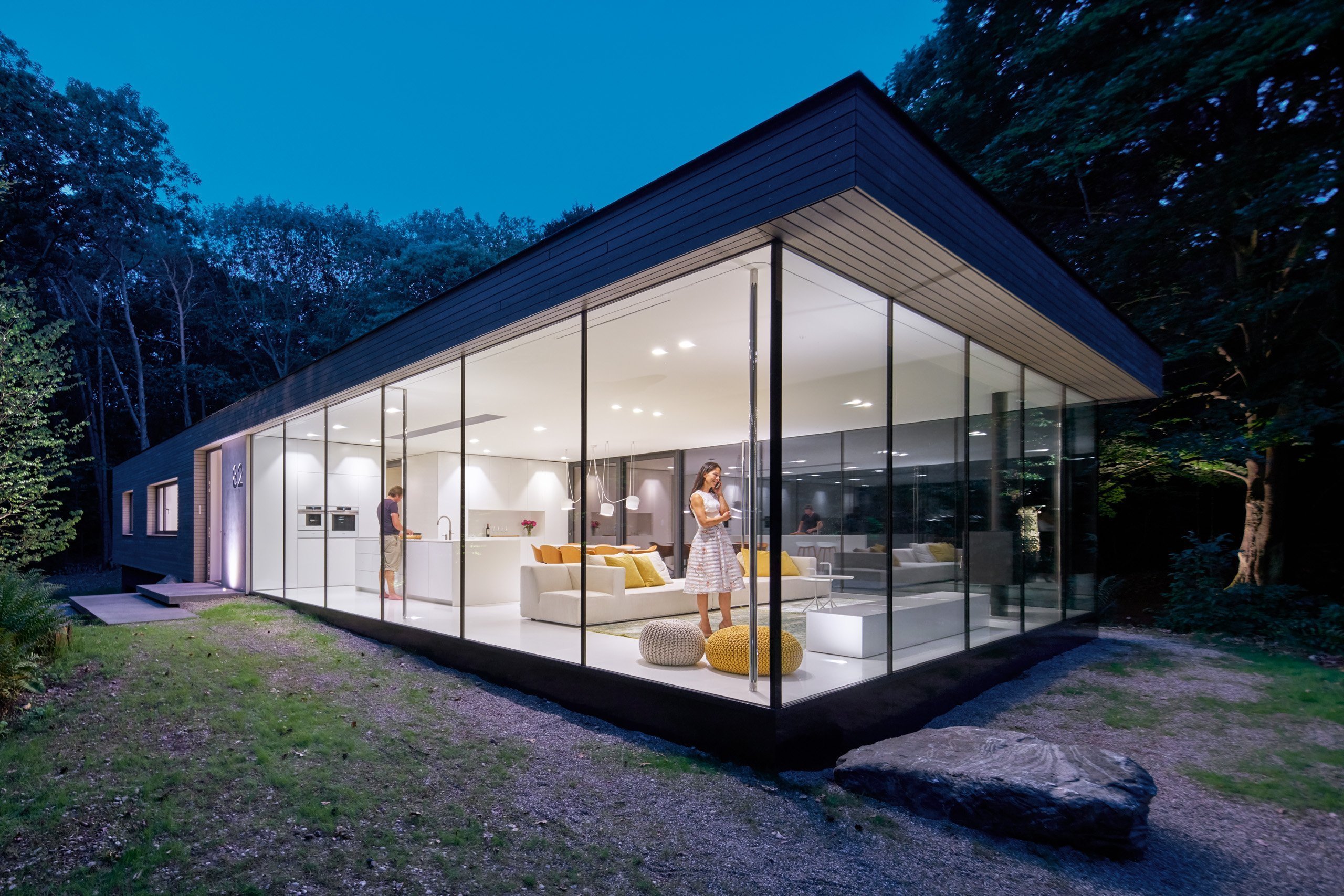 Moderní vila v lese