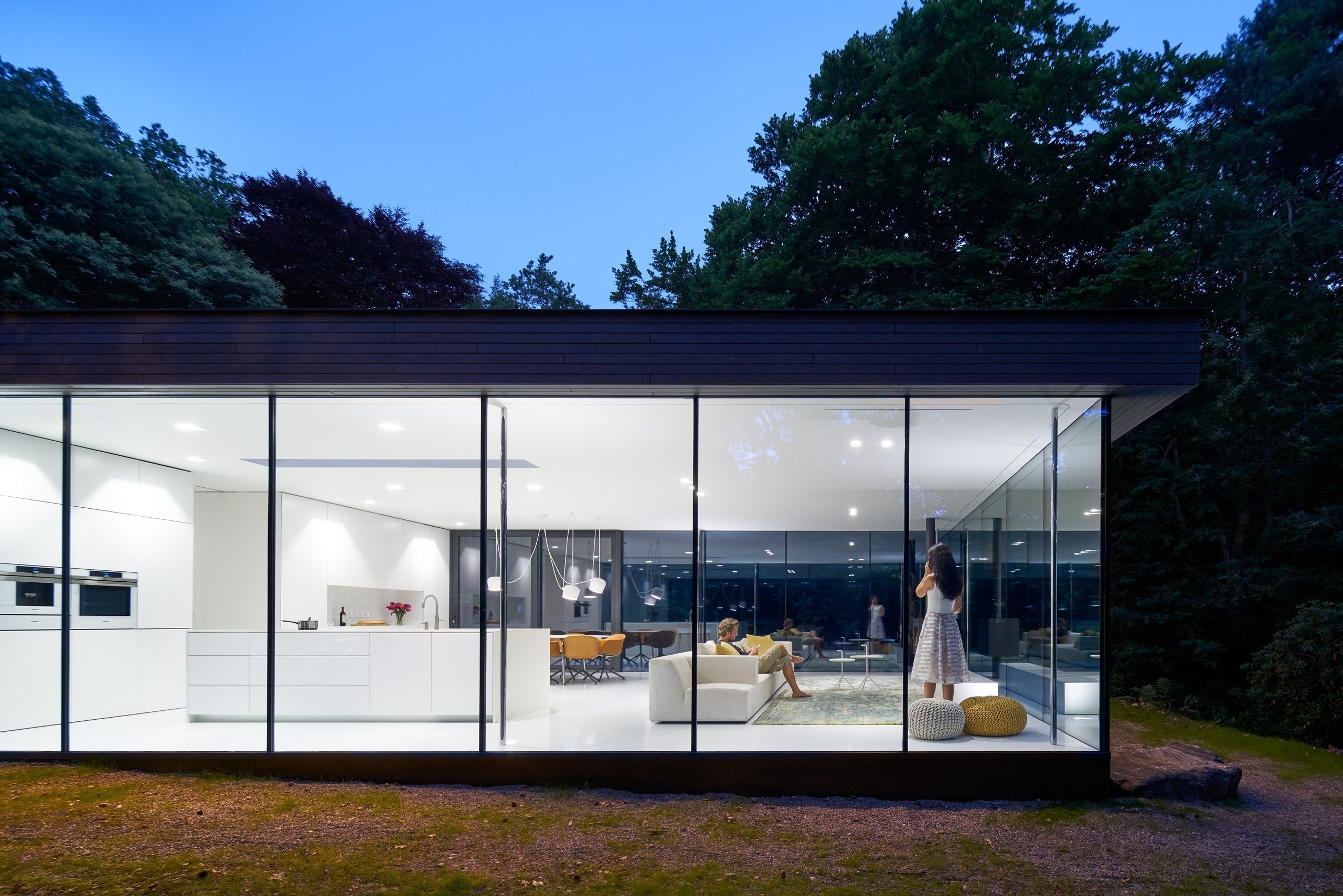 Moderní vila v lese