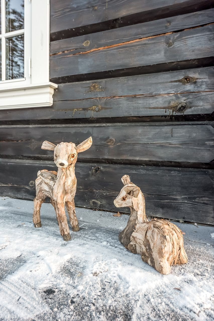 Norská chata s výhledem na lesy