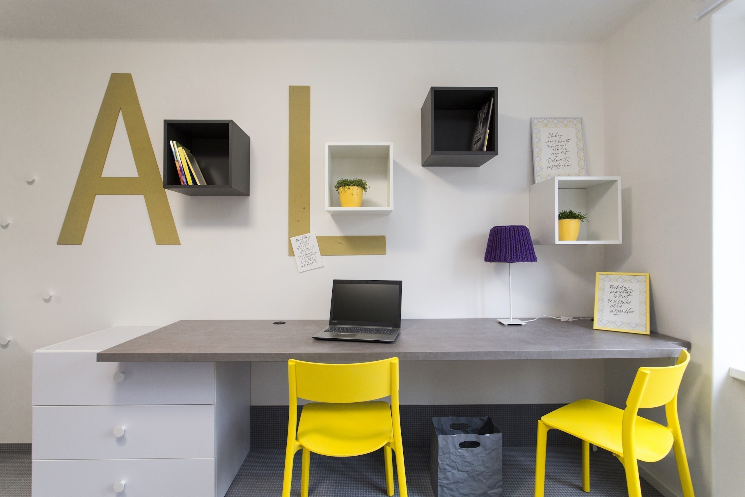 Po těžké ztrátě si zaslouží nový domov