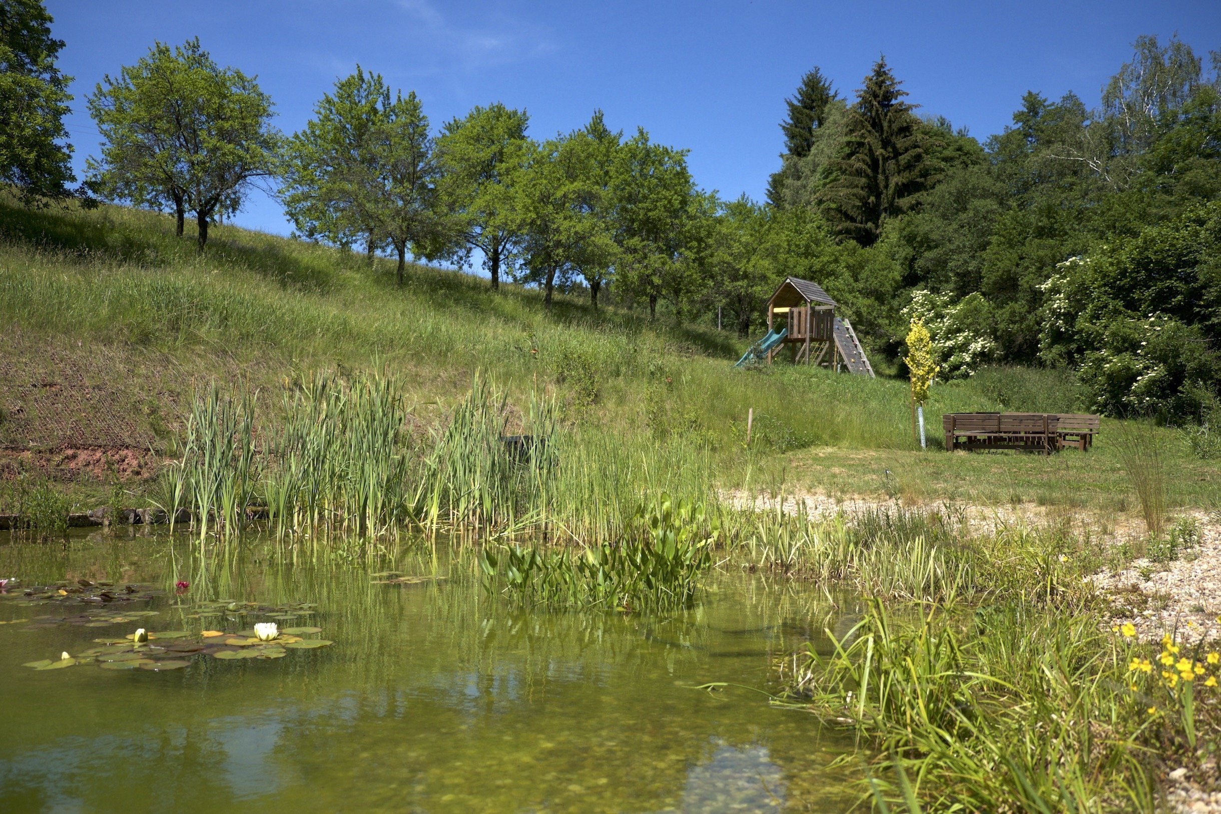 Rekonstrukce venkovské chalupy stála za to