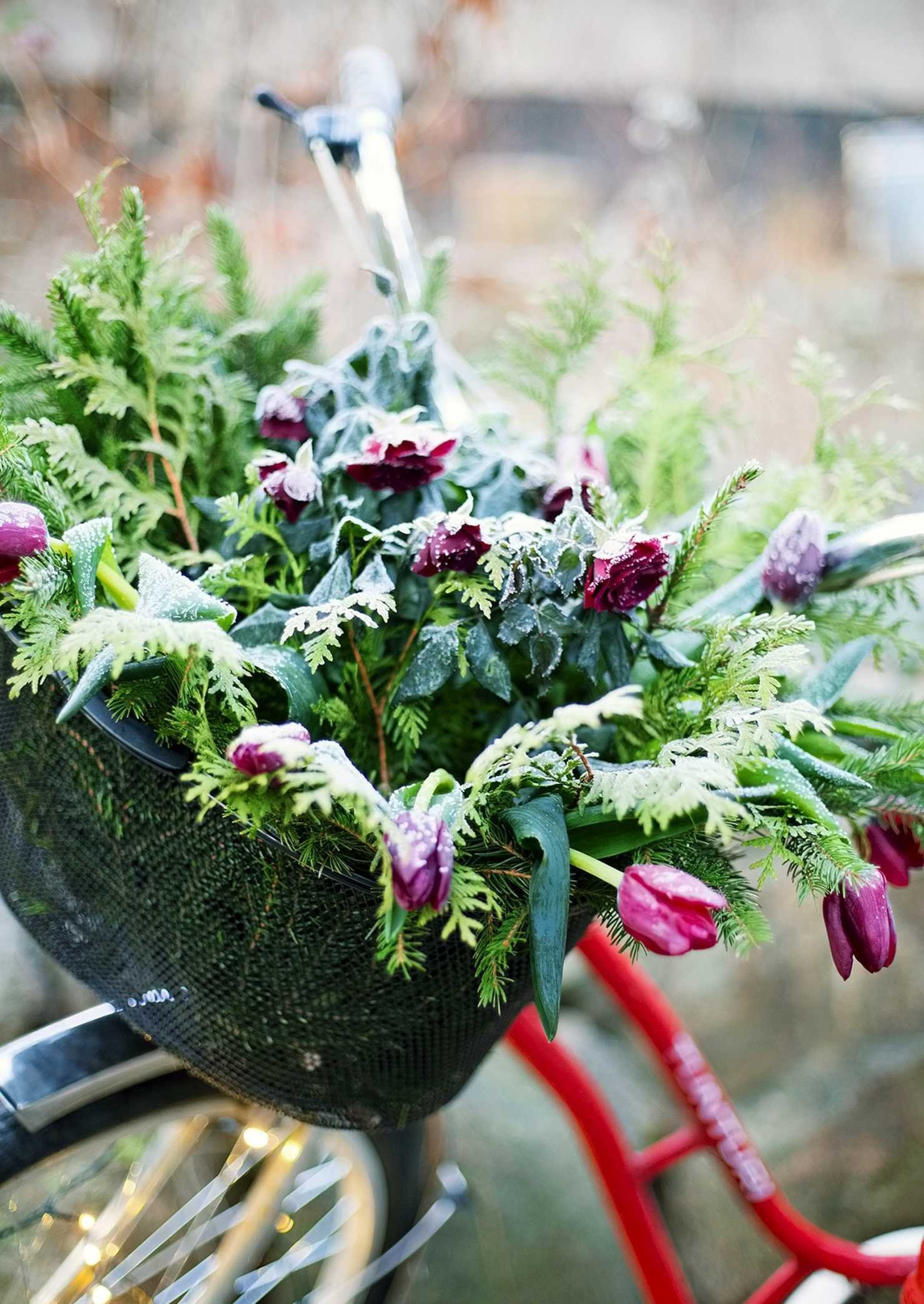 Vánoční inspirace a dekorace