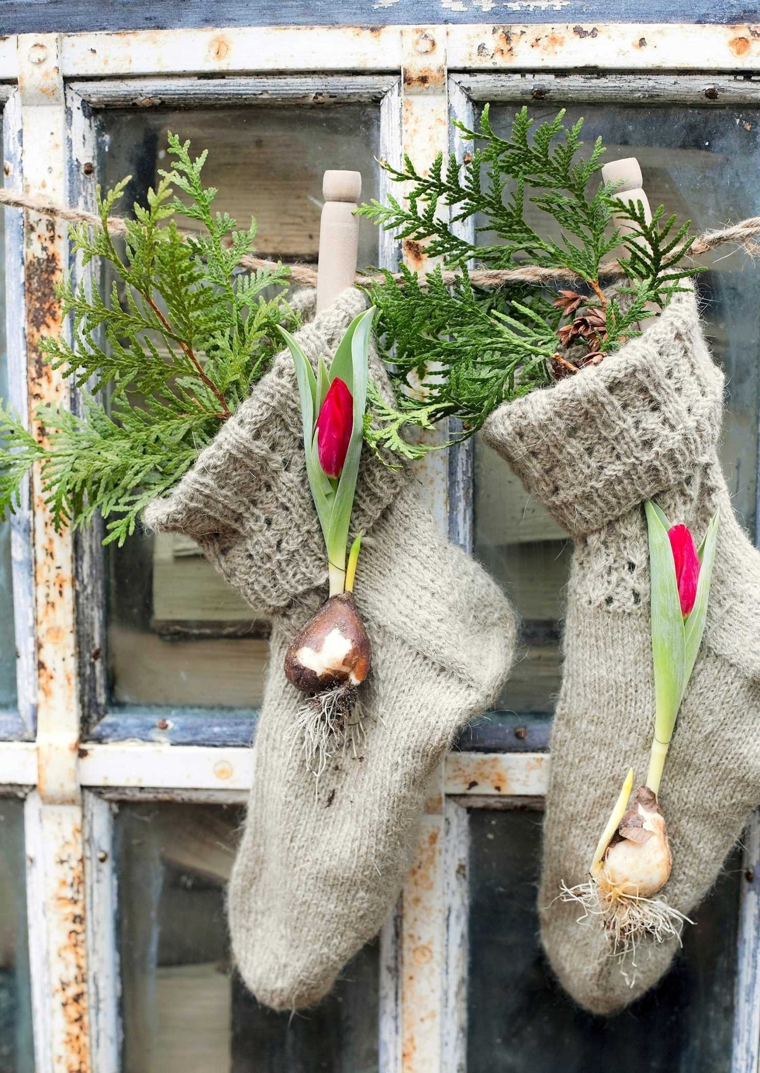 Vánoční inspirace a dekorace