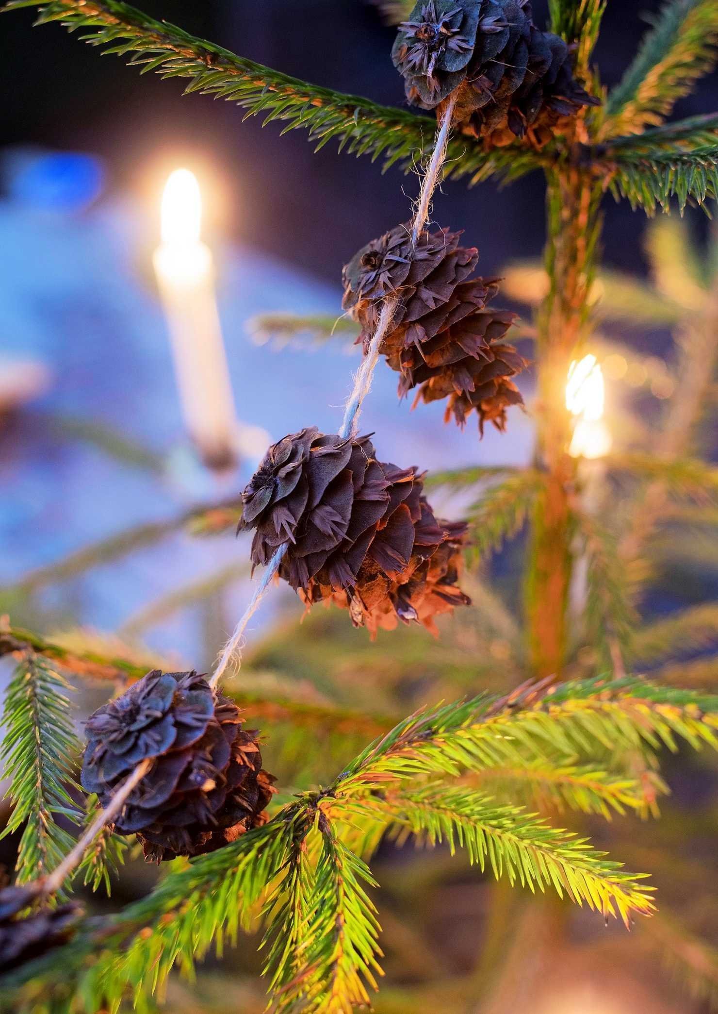 Vánoční inspirace a dekorace