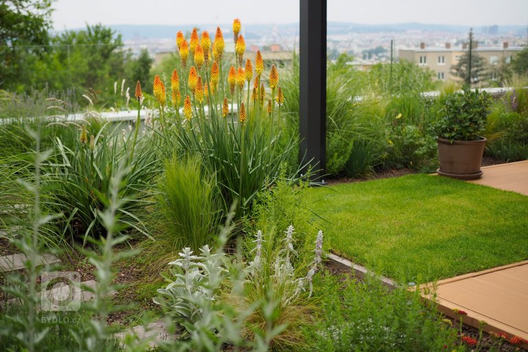 add picture to album