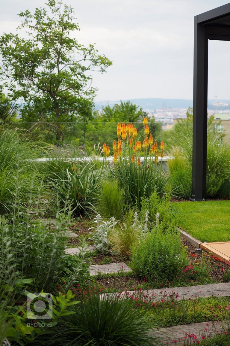 add picture to album