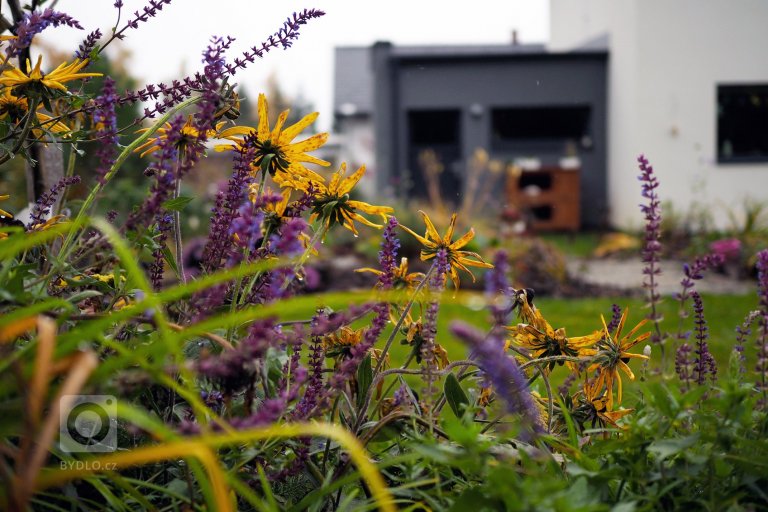 add picture to album