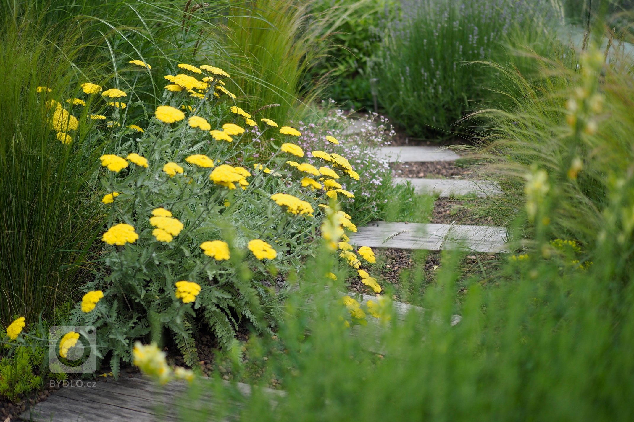 &bdquo;Je to malý a nechci tam jen trávník.&ldquo; Nějak podobně začínalo naše zadání pro návrh a následnou realizaci střešní terasy po úvodním telefonátu s…