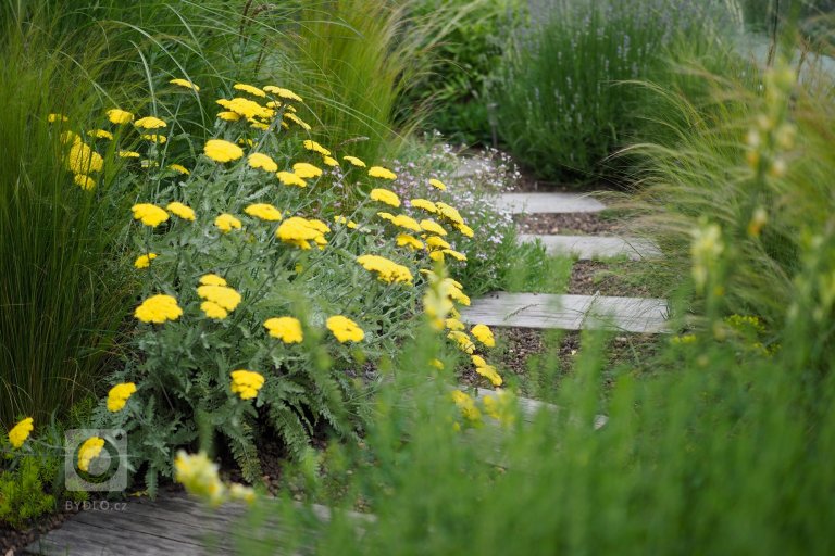 add picture to album