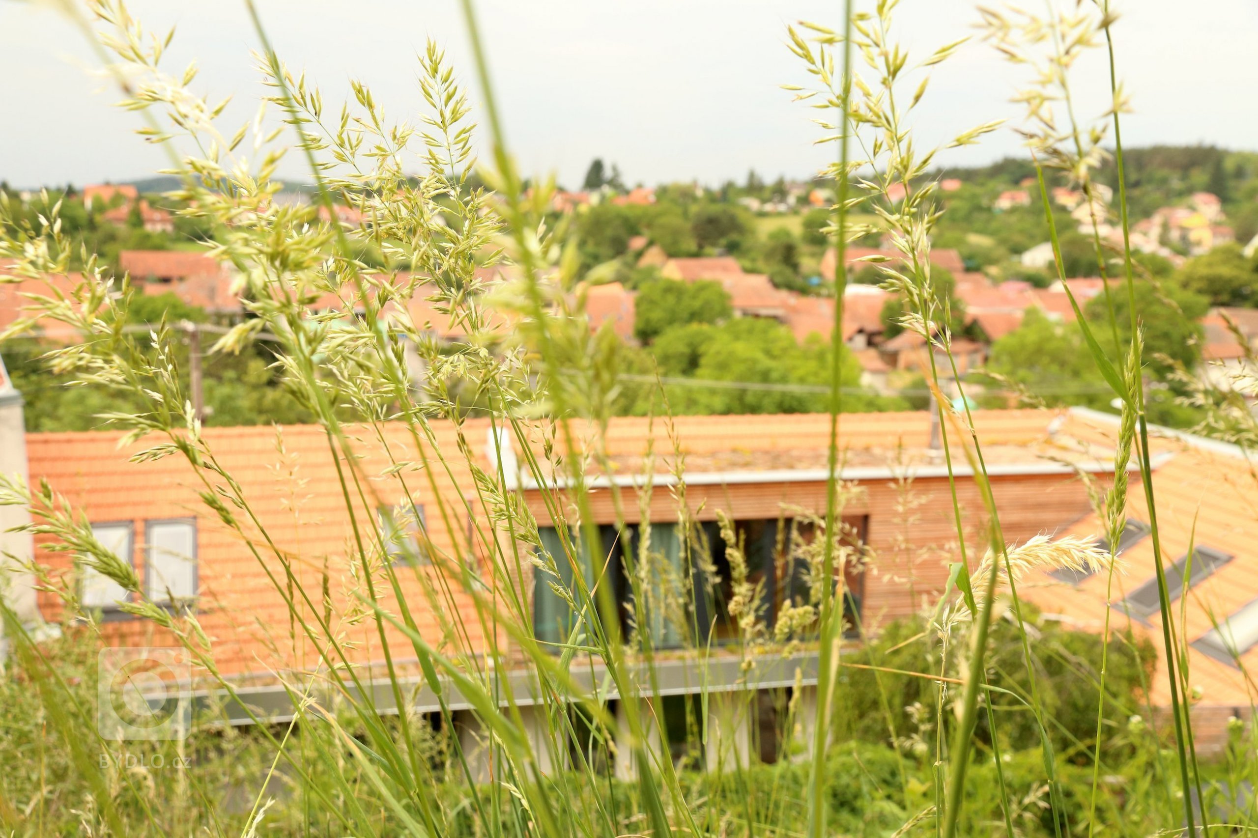 Dům stojí v Rozdrojovicích, vesnici vzdálené 2 kilometry severně od brněnské přehrady. Obec je charakteristická dramatickou morfologií terénu a liniovou…