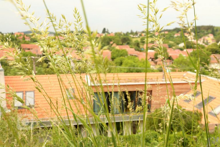 add picture to album