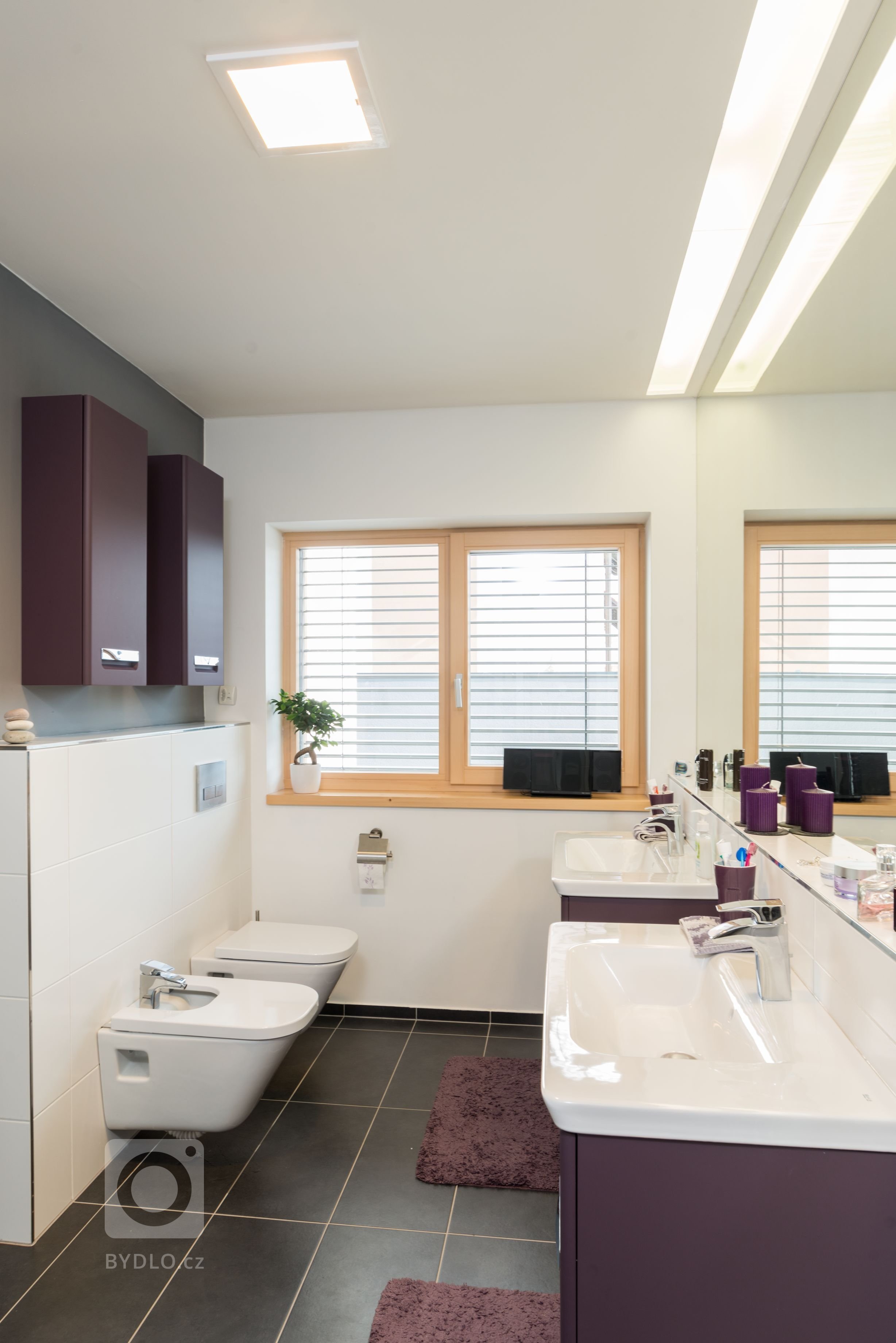 Dům o&nbsp;půdorysu ve tvaru U je navržen jako tři hmoty v různých výškových úrovních uspořádané kolem jádra domu &ndash; patia - s částečně krytou terasou a…