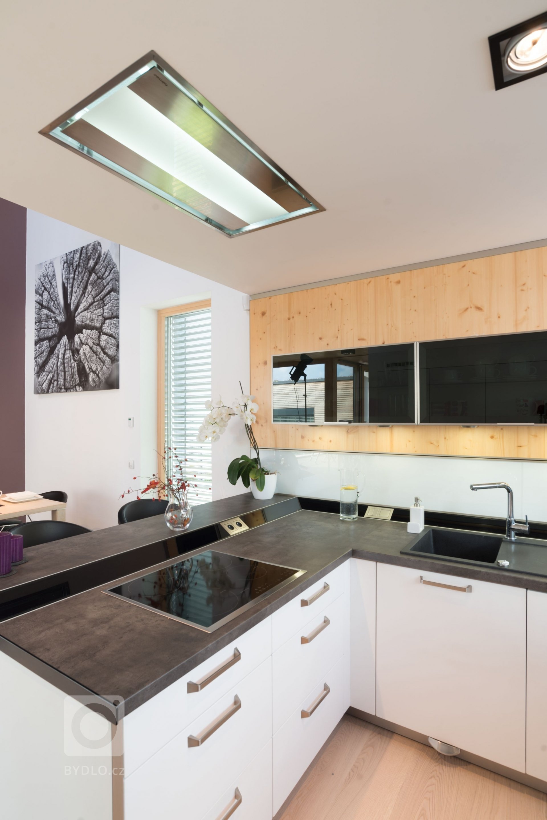 Dům o&nbsp;půdorysu ve tvaru U je navržen jako tři hmoty v různých výškových úrovních uspořádané kolem jádra domu &ndash; patia - s částečně krytou terasou a…