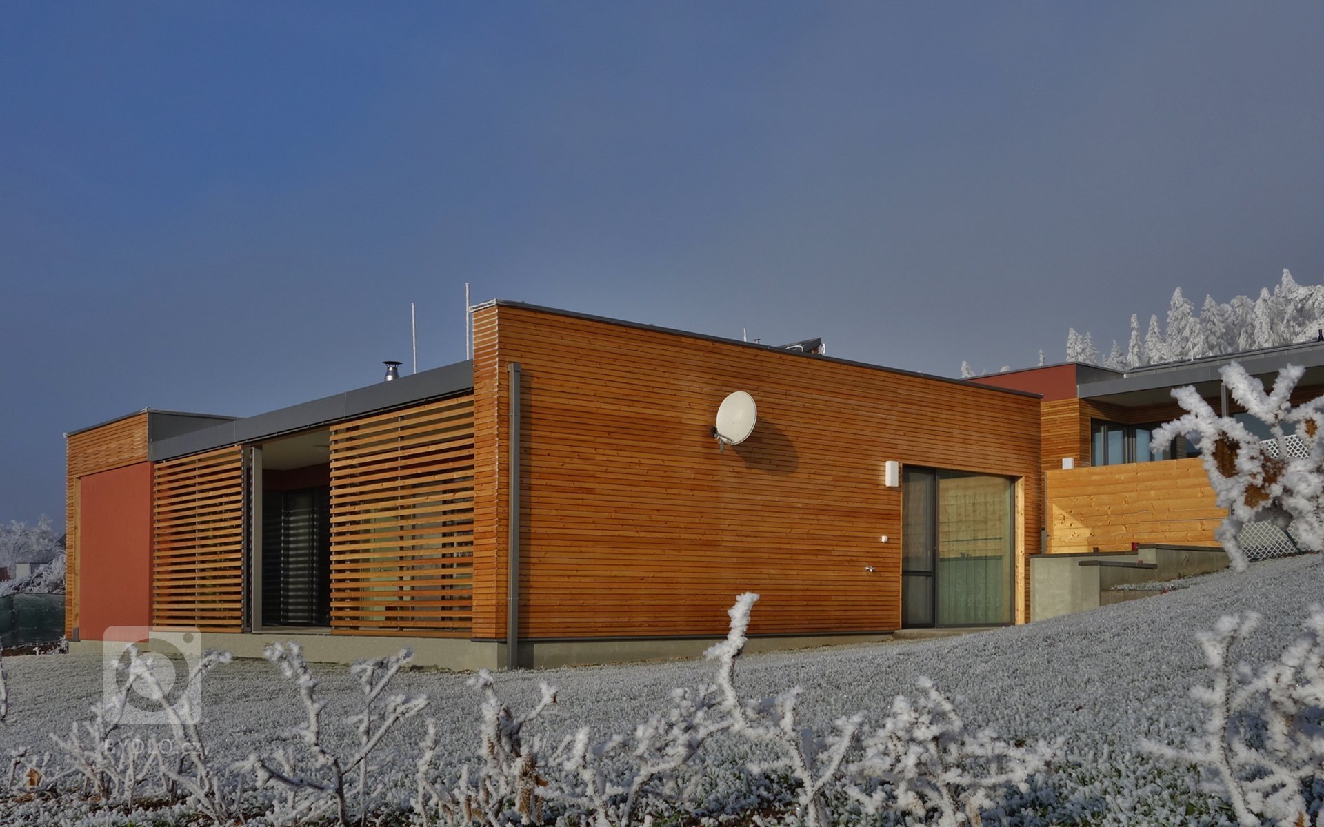 Řadové domy u lesa