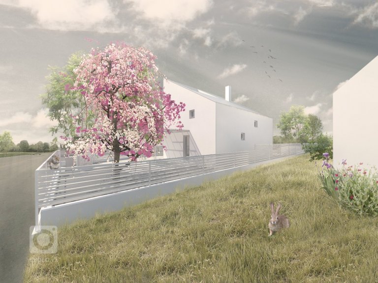 add picture to album