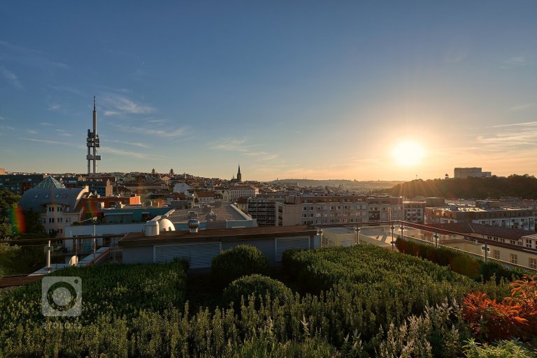 add picture to album