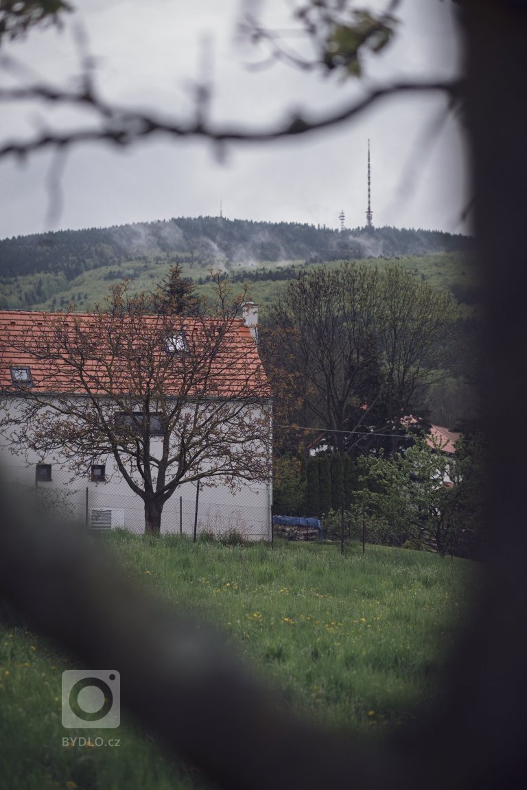 add picture to album